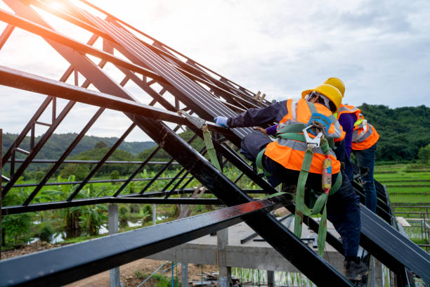 Best Roof Gutter Cleaning  in Saranac, MI