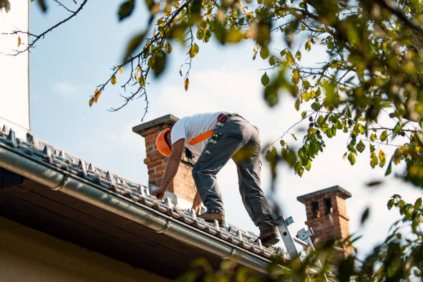 Best Metal Roofing Contractor  in Saranac, MI