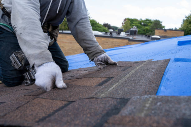 Best New Roof Installation  in Saranac, MI