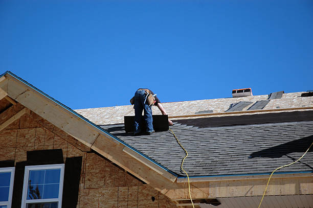 Best Roof Repair Services  in Saranac, MI